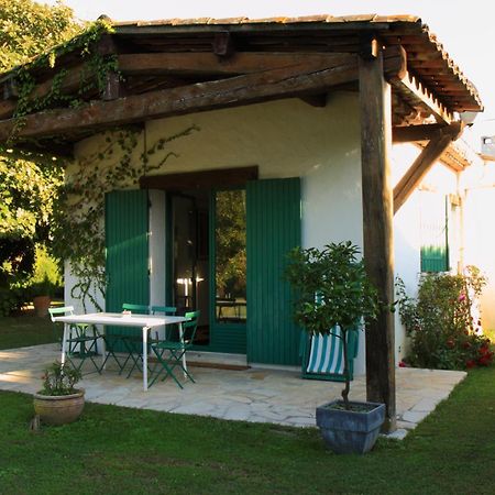 Le Clos De St Paul La Colle-sur-Loup Bagian luar foto